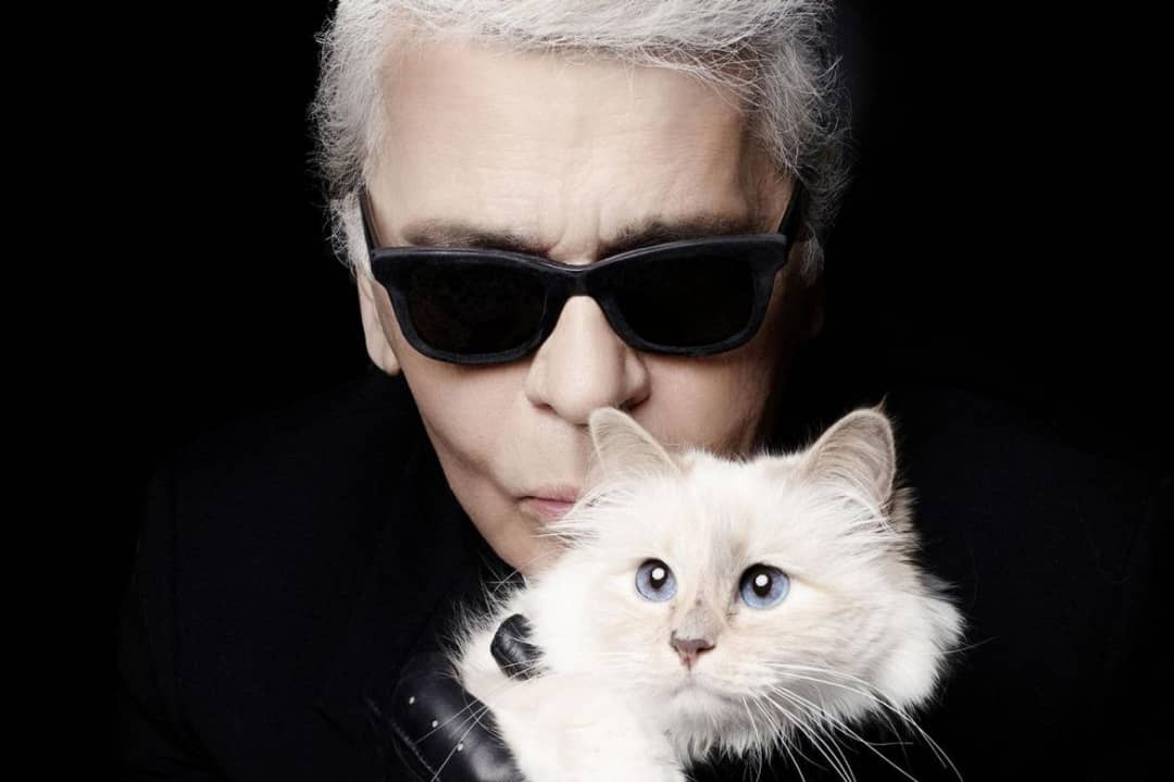 Meet Choupette, the AristoCAT Who May Inherit Millions in the Lagerfeld Fortunes 