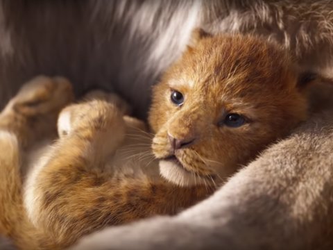 Lion King Remake Becomes  Highest Grossing Animated Film