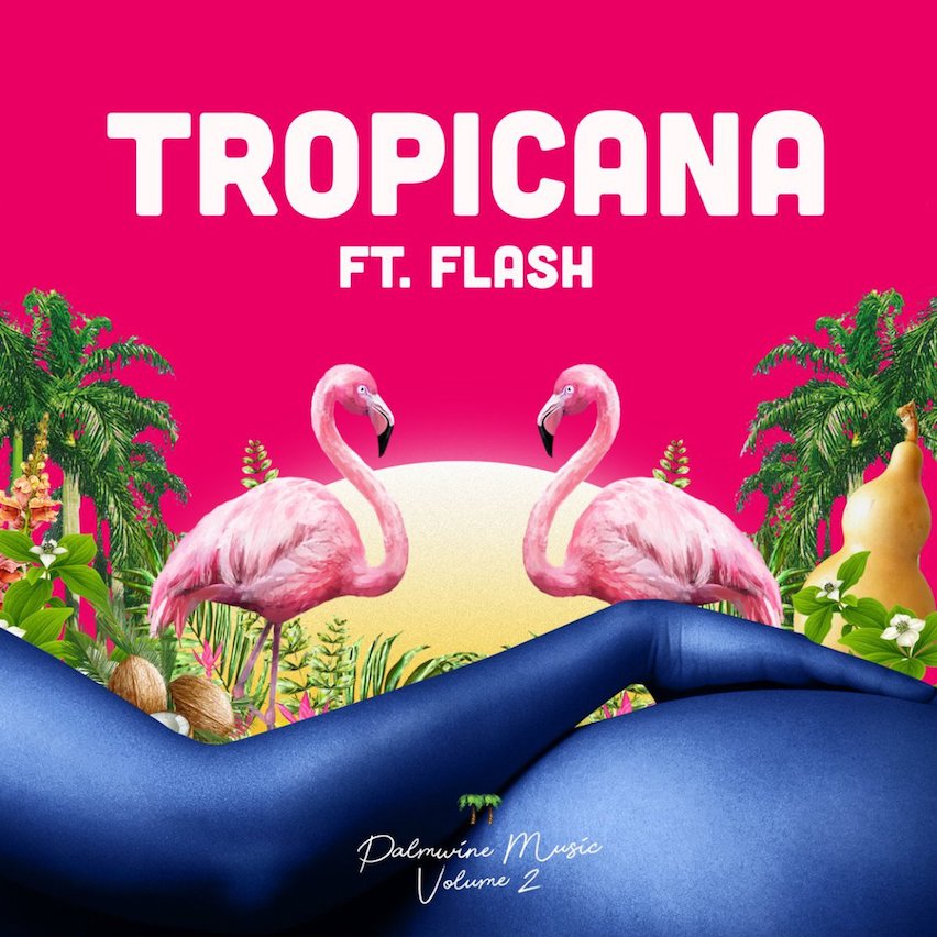 Show Dem Camp Drops Colourful Video for ‘Tropicana’