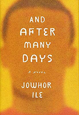 #BookReview: And After Many Days by Johor Ile