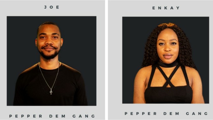 #BBNaija Update: Two More Housemates Join The “Pepper Dem” Gang