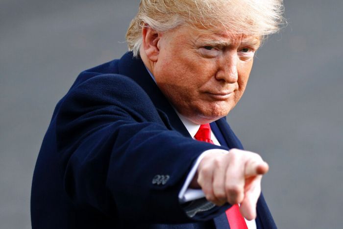 US President Donald Trump Applauds Nigerian Artist on Portrait