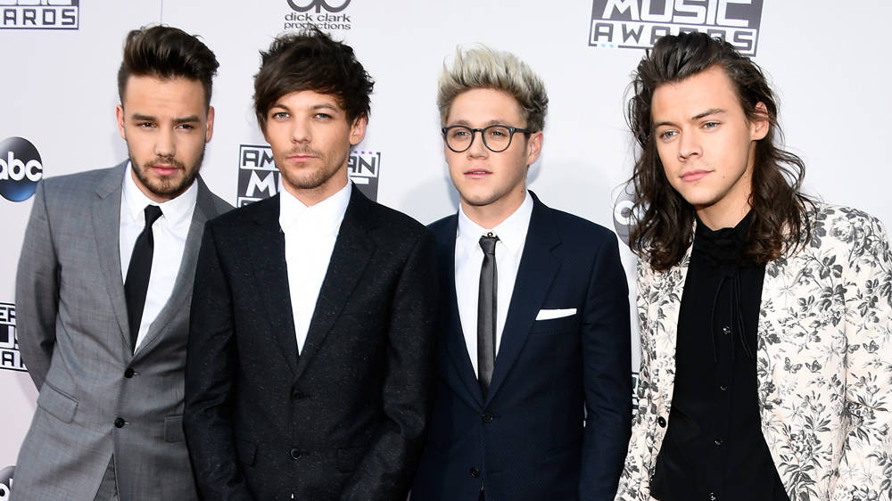 Liam Payne Officially Confirms One Direction Reunion