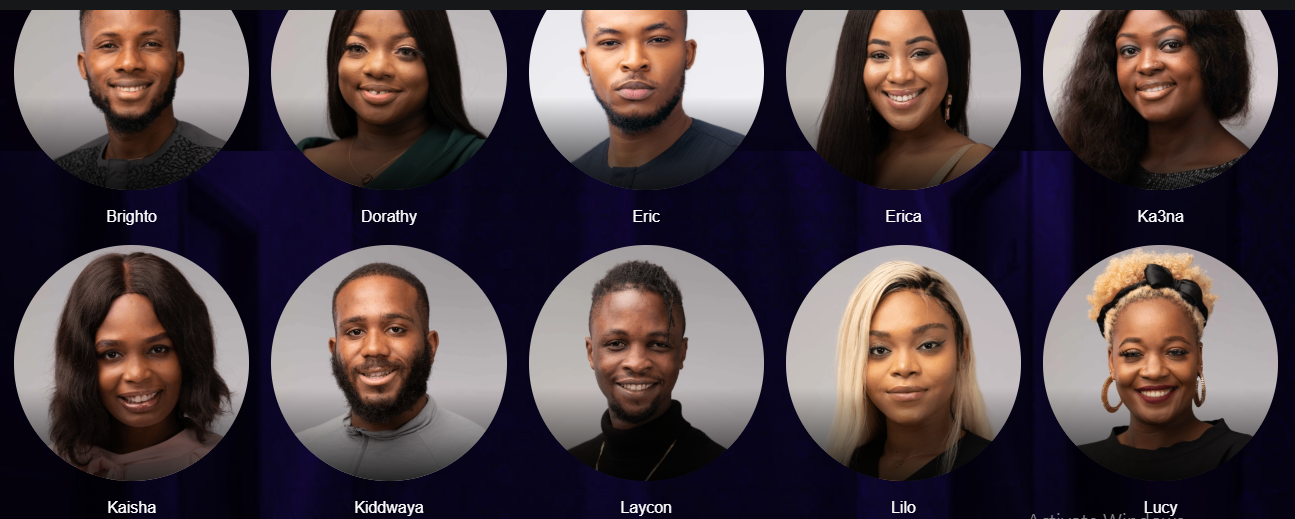 BBNaija 5: Meet All the Lockdown Housemates