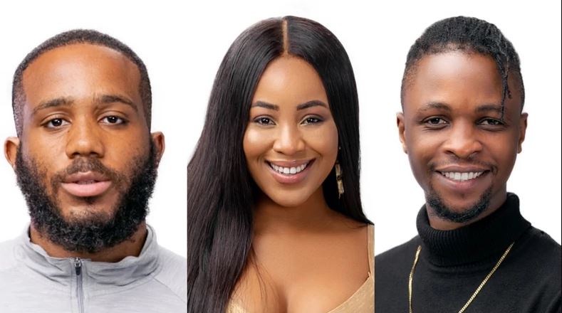 I’m attracted to both Kiddwaya and Laycon – BBNaija Erica