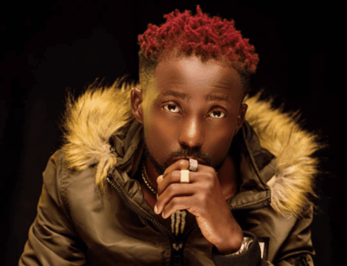 Nigerian rapper Erigga called out for plagiarism