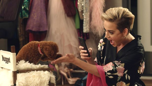 Katy Perry: My Dog and I are Ready to be Vegans