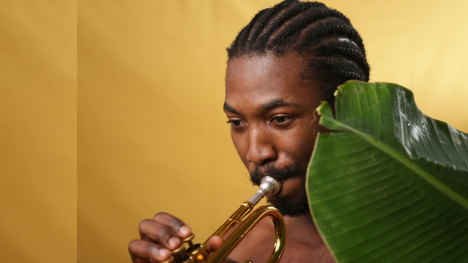 ‘An Evening with Made Kuti’ takes on Terra Culture