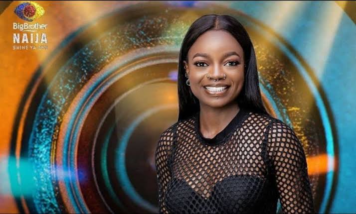 #BBNaija: I was evicted earlier than I expected — Arin