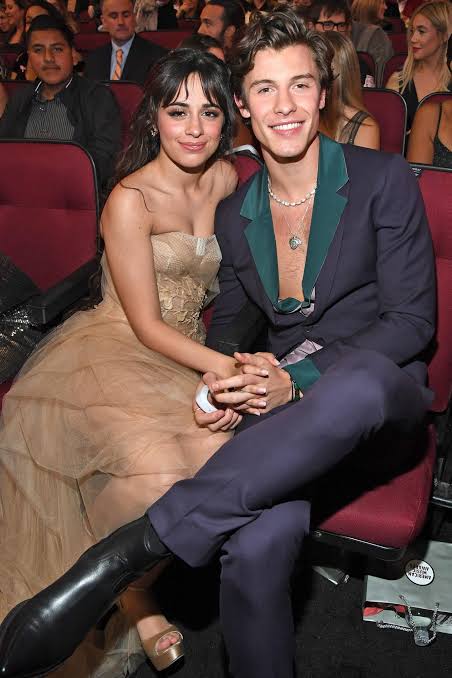 Shawn Mendes and Camila Cabello split
