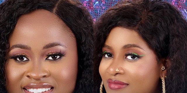 BBNaija: Phyna and Amaka record second fight
