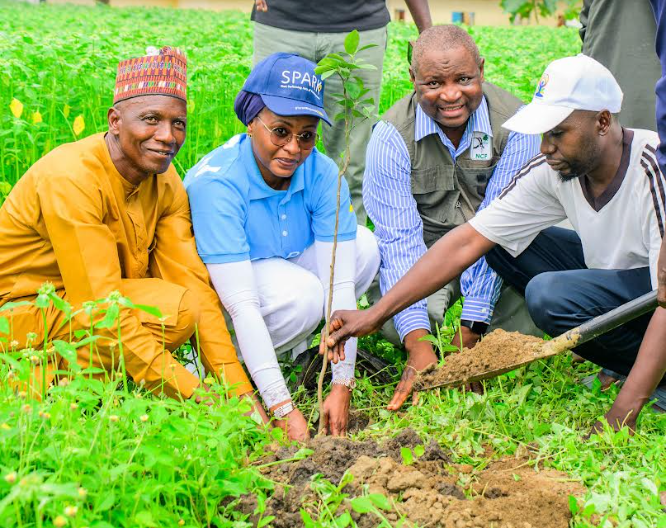 50,000 TARGET: FIRSTBANK, NCF EXTEND TREE PLANTING TO FCT