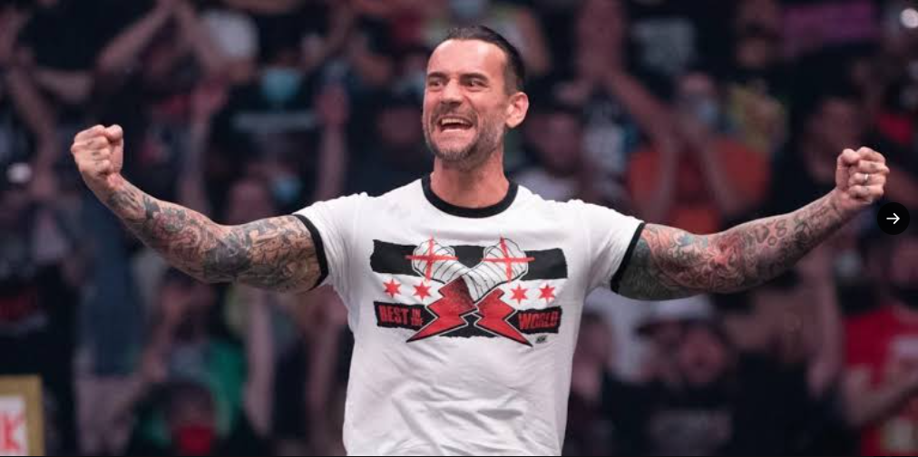 CM Punk issues stern warning to fans, urges them to desist from following WWE superstars around airports