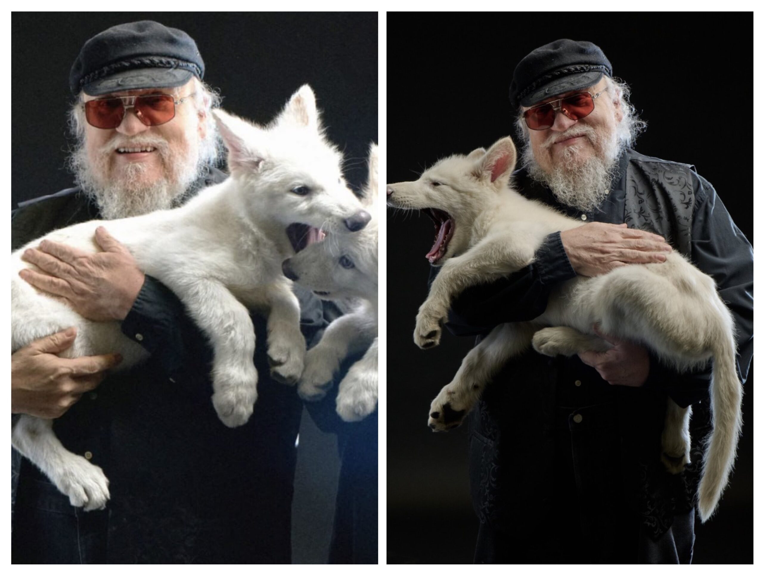 “One of the greatest discoveries”- ‘Game of Thrones’ creator George R.R. Martin states after meeting resurrected dire wolves (PHOTOS)
