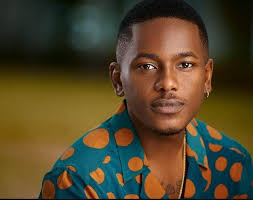 Timini Egbuson mocked after attempt to peck beautiful female fan failed