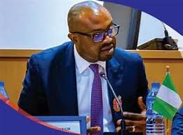 Nigerians react as Ministry of Interior reposts explicit image of adult content creator