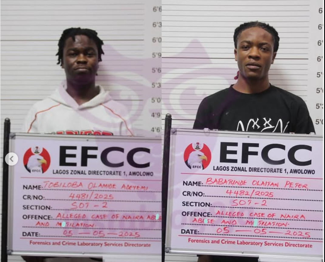 Popular Nigerian TikTokers sentenced for Naira abuse