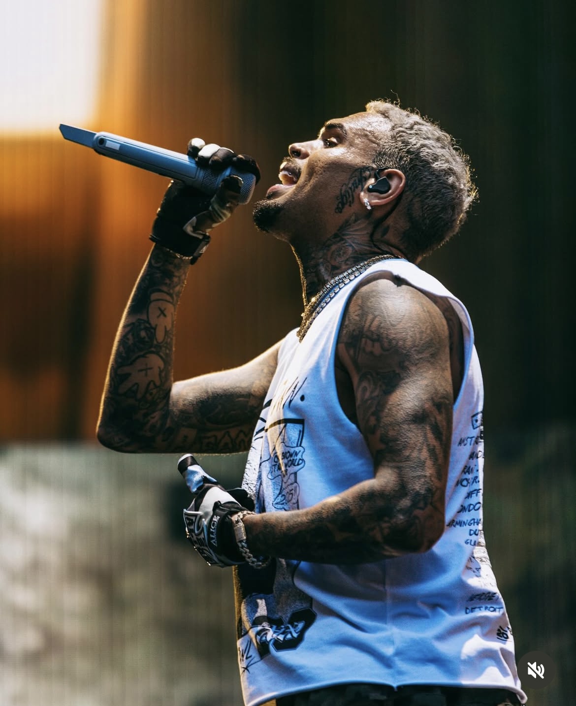 Chris Brown Deactivates Instagram Account