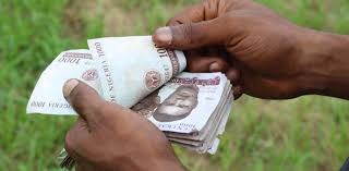 Popular Nigerian musician jailed for Naira abuse