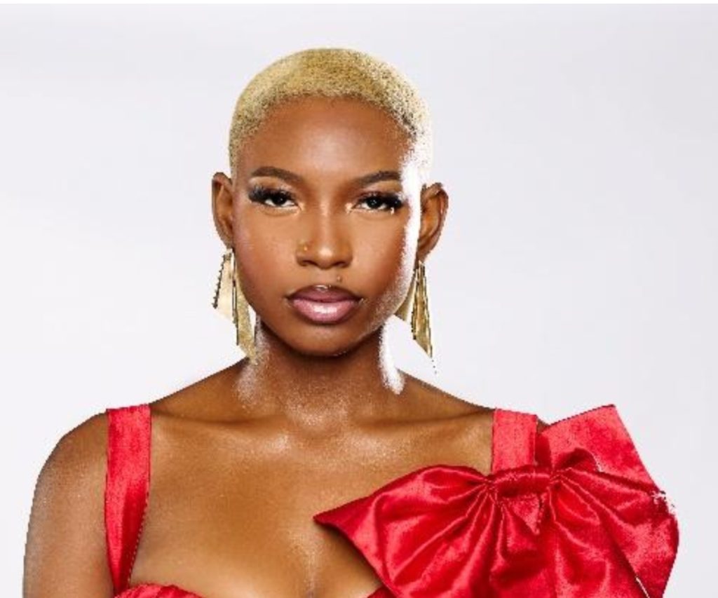Biography of Joanna: Meet The Youngest Blonde BBNaija Contestant