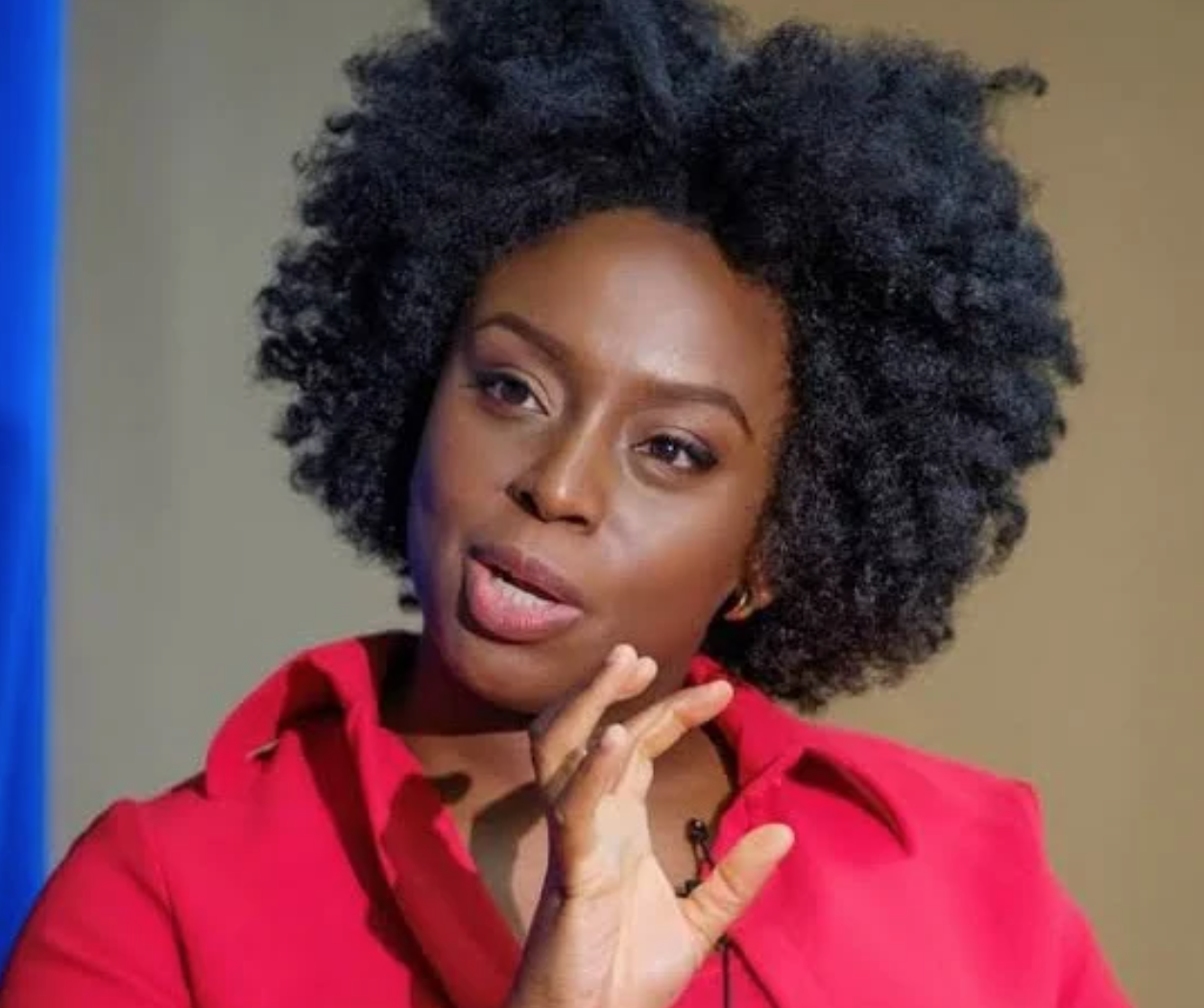 Why Social Media Is Bad For Our Brains – Adichie