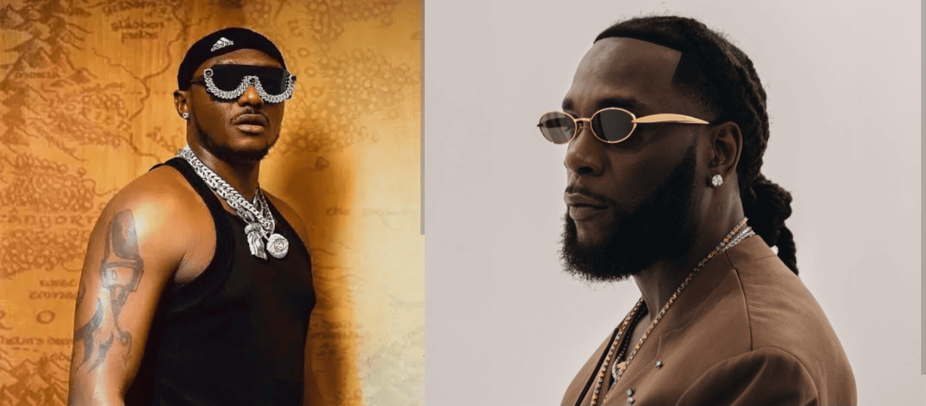 Terry G Backs Burna Boy’s Decision to Eject Sleeping Fans, Sparks Debate on Concert Etiquette
