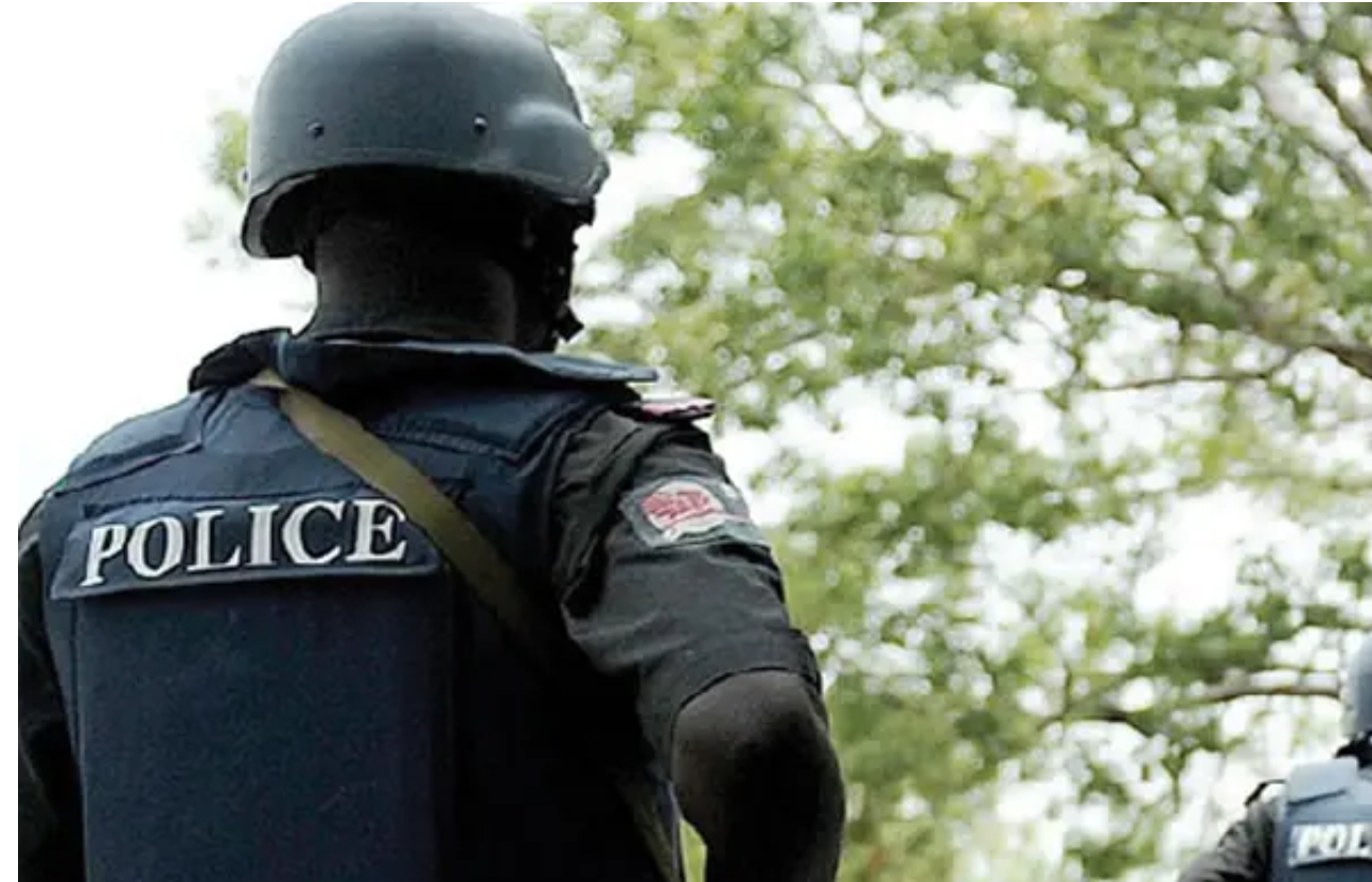 Police Nabs Popular Female TikToker Cum ‘Kidnapper’