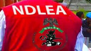 Popular Nigerian Singer Nabbed With Drugs in Lagos