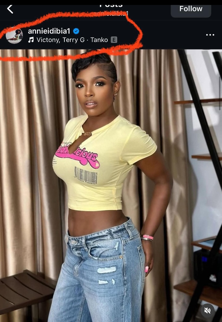 Annie Idibia’s Instagram Name Stays Unchanged Amid Ongoing Reunion Rumors with 2Baba