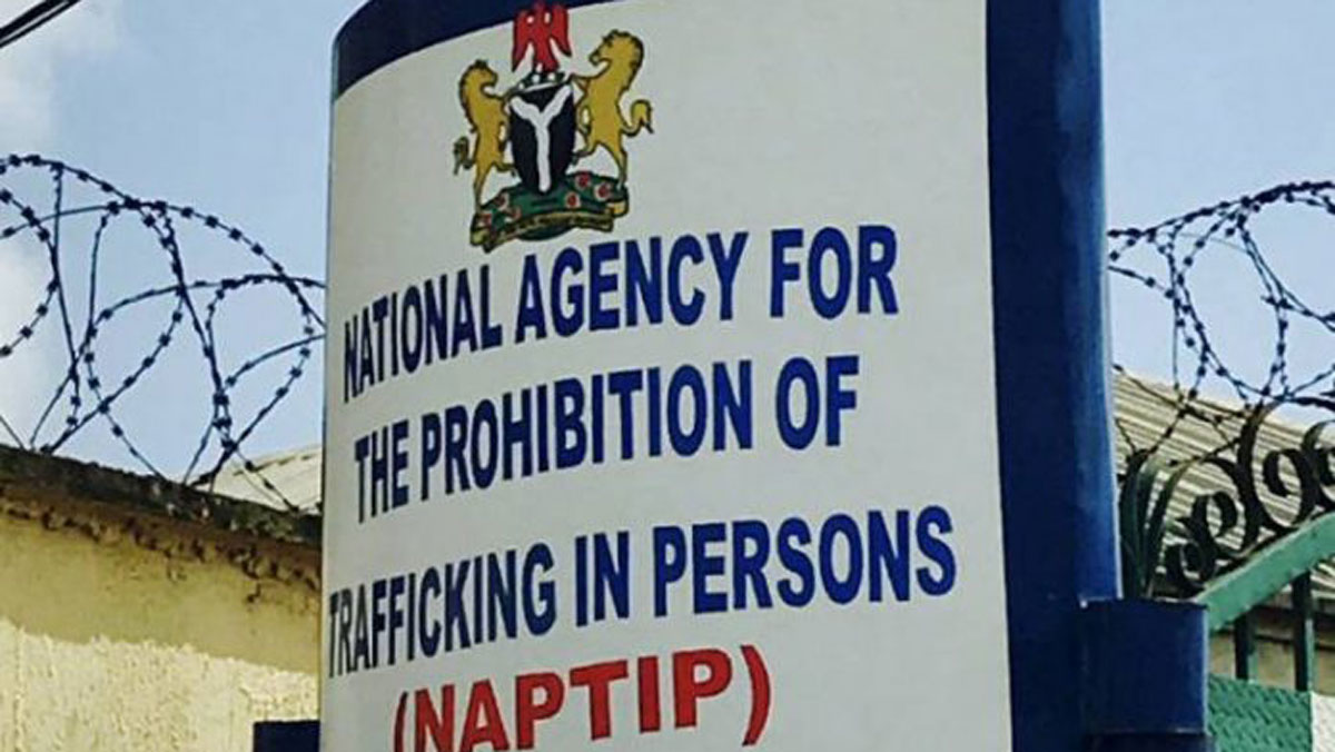 Trouble Looms As NAPTIP Launches Investigation Into Alleged Sexual Abuse in Daycare Centers
