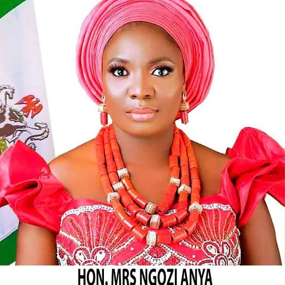My Daughters Will Grow Up to Understand that Men are Polygamous in Nature- Hon. Mrs Ngozi Sandra Anya