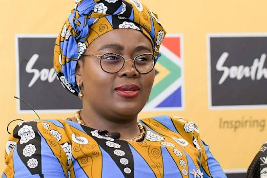 Xenophobia: Our Artistes Are Losing Gigs – South African Minister Laments